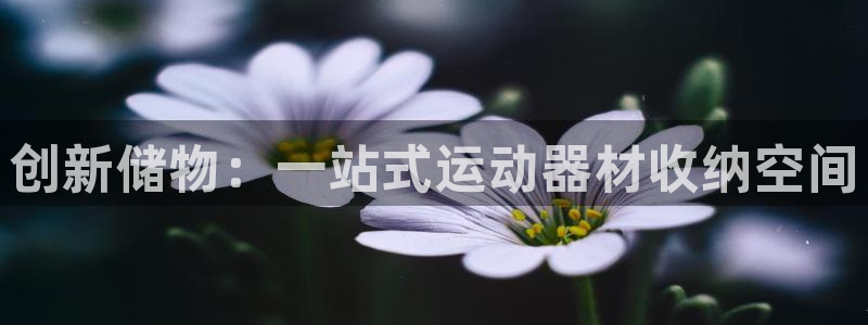 NG大舞台官方正版app娱乐下载:创新储物:一站式运动器材收