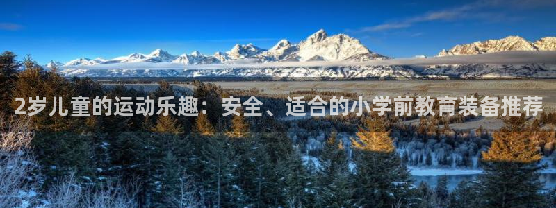 NG大舞台官网下载招商电话是多少:2岁儿童的运动乐趣:安全、