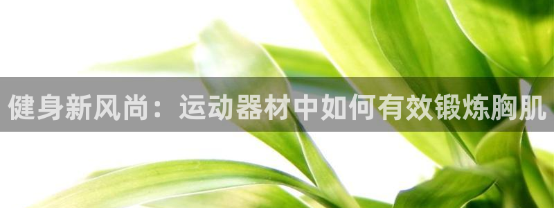 NG大舞台官方正版app科技:健身新风尚:运动器材中如何有效
