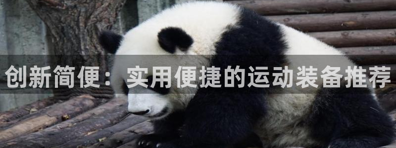 NG大舞台官方正版app开户:创新简便:实用便捷的运动装备推